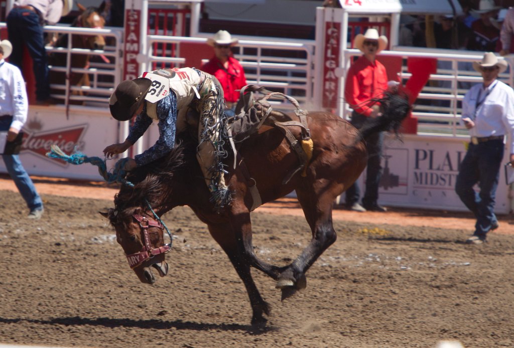 Calgary Stampede-1366.jpg